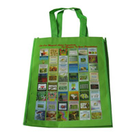 丽江LB11覆膜无纺布广告袋